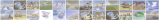 all desktops thumbnail overview