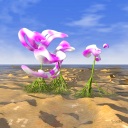Pink&nbsp;Orchids mobile phone image 128x128