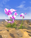 Pink&nbsp;Orchids mobile phone image 128x160