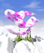 Ice&nbsp;Orchids mobile phone background 176x208