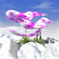Ice&nbsp;Orchids mobile phone background 208x208
