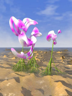 Pink&nbsp;Orchids mobile phone logo 240x320