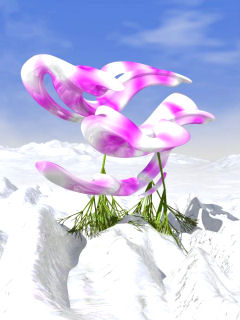 Ice&nbsp;Orchids mobile phone background 240x320