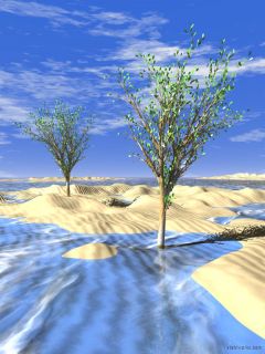 Frozen&nbsp;Desert mobile phone wallpaper 240x320