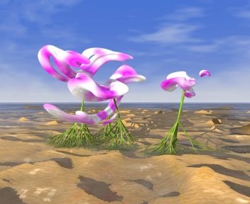 Pink&nbsp;Orchids mobile phone logo 352x288