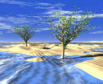 Frozen&nbsp;Desert mobile phone wallpaper 352x288