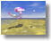 animation snapshot