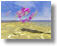animation snapshot