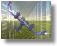 animation snapshot