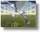 animation snapshot