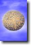 Orange Moon photoprint