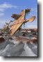 A Frozen Dream photoprint