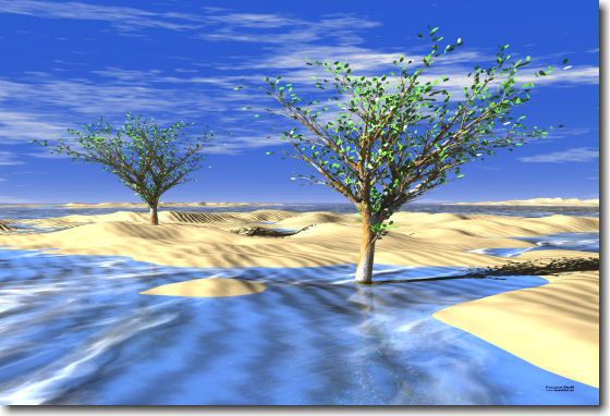 Frozen Desert Trees