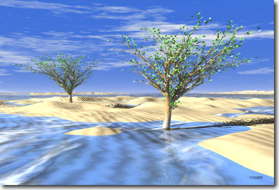 Frozen Desert Trees