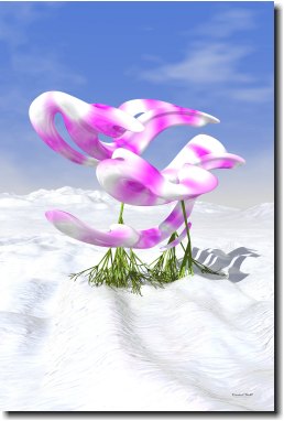 Orchids On Ice